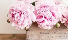 恋爱经验不少了，你的爱情为啥还总败阵？