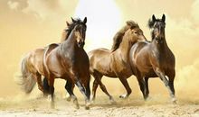 今年属马的人多少岁,属马的2020年几岁了