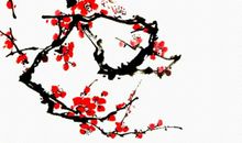 生肖属蛇爸爸和什么生肖属相的孩子是三合，六合