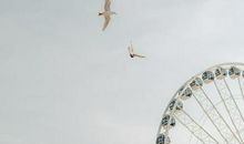 这些生肖喜欢在恋人面前忽冷忽热，作！