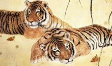 今年属虎的人多少岁,属虎的2020年几岁了