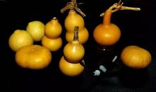 风水要用葫芦改！你知道吗？