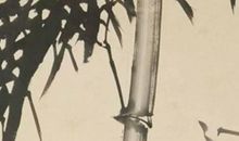 生肖属龙的爸爸和什么生肖属相的孩子相冲，龙和狗是相冲