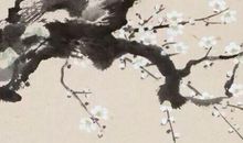 2020年农历六月初四出生的女孩起名宜用什么字，五行属什么