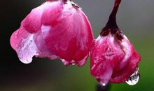 横财数不停，官位高高升，3生肖在11月下旬人生顺利，福气连绵