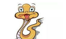 生肖蛇男人与其他属相女人结合的婚姻状况如何，好不好？