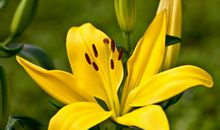 好事到！三生肖11月份将有贵人进门，吉星高照，成为人上人！