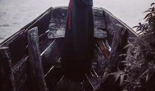 这个生肖人，八字看明年事业迎来新高度，开启辉煌运势