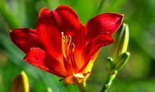 十二生肖中，3生肖天降大喜，11月起正财上门，下半年欢喜奔小康