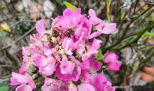 迎来大财临门，存款暴涨的生肖，11月起财富收入不菲，赚到大钱