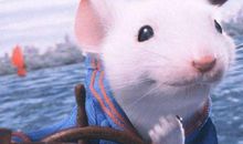 麦玲玲属鼠人2021年运势运程 2021年生肖鼠运程