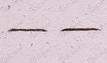 眉毛看运势 带来的运气眉毛