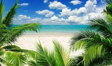 11月喜上眉梢，顺风顺水，富贵满堂的四大生肖