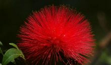 11月财运亨通，富贵势不可挡的生肖，诸事顺利，天天有钱赚