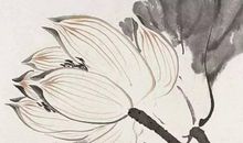 生肖属虎的爸爸和什么生肖属相的孩子相冲，虎与猴、蛇相冲