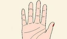 手相分析川字掌的男人，是大富大贵命吗？