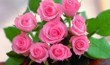 11月青云直上，绝处逢生，财运易得的4个生肖