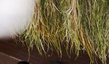 下周运势旺，财富源源不断，生活春风得意的三大星座