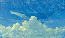 安利几本玄幻文，五行风水八卦样样精通！小哥哥，要不要卜一卦