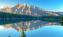 有关除夕团圆的诗句