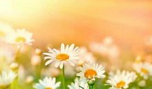 11月喜获丰收，财气冲天，喜从天降的四大生肖