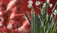 3生肖好运开挂，11月下半月贵人多助，处处逢缘，钱财赚不停