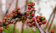 坎坷不进门，实现财富自由的生肖，未来7天注定能大赚特赚