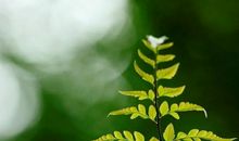 娶了这3个生肖女，福运连连，旺夫旺家！