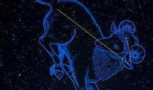 十二星座长相排名