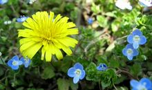 下个月开始吉星常驻，贵人相伴，好运加身，事业更上一层楼的生肖