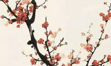 2020年5月30号闰四月初八出生的人性格命运解析，五行八字查询