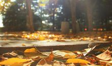 辰时出生缺什么，五行属什么，五行属土