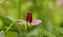 对得起父母，更对得起老婆，是个真男人的星座，