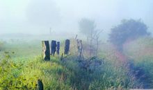 属羊的人，将来的婚姻财运？