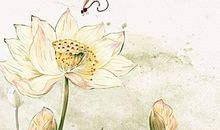 巳时出生五行缺火的男孩取名，这些字属火都可用于取名