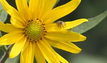 下周开始，4属相钱财不缺，喜事接踵而来，应接不暇，贵人临门