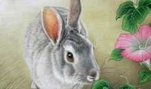 下一周运势如虹，天降横财的生肖