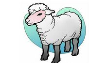 生肖羊女人与其他属相男人结合的婚姻状况如何，好不好？