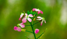 未来10年，连发横财，运势大旺，不再缺钱的三大生肖