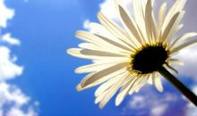 2019年12月底1月初运势高涨，钱财大笔进账，薪资待遇翻倍涨的三大生肖