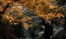 揭秘！其实这些血型男就是纸老虎