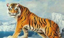 4月下旬财运最旺的生肖，桃花朵朵开，咸鱼翻身，恭喜恭喜！