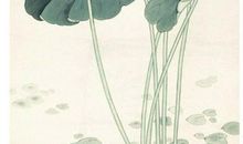 2020年3月1号二月初八生的女孩是什么命，起什么名字有福气