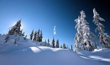 大寒出生女宝宝五行缺木起名 五行属木有诗意起名(图文)