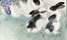 属兔人和哪些生肖结婚，一路不走散，不打算离婚，有爱有福有富贵