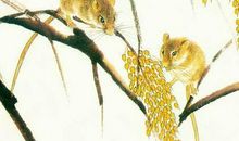 属鼠在本命年2020年拆建房子属鼠好不好