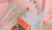 唐绮阳/唐立淇一周星座运势（12.2-12.8）