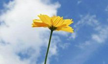 未来10天，财运大旺，横财大奖缠身，金银滚滚来的三属相