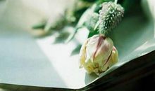 关于爱情，A血型君觉得新鲜感重要吗？