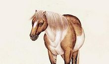 疼老婆入心的3生肖男，上到精神世界，下到衣食住行，都无微不至